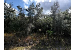 Lot 31 CASCO CIRCLE, NORTH PORT, FL 34288 - MLS#MFRC7512797