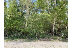 27285 PLUMOSA DRIVE, PUNTA GORDA, FL 33955 - MLS#MFRC7512799