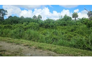 CUSTER LOT #25 CIR, NORTH PORT, FL 34288 - MLS#MFRC7512895