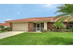 11380 COURTNEY DRIVE, LAKE SUZY, FL 34269 - MLS#MFRC7512907
