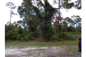 12259 CATRIDGE CIRCLE, PUNTA GORDA, FL 33955 - MLS#MFRC7513043