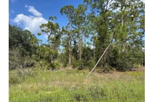 13042 APACHE DRIVE, PUNTA GORDA, FL 33955 - MLS#MFRC7513083