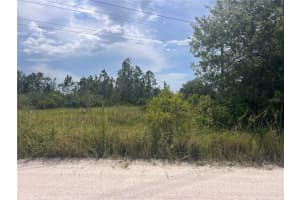 6041 ALFRED BOULEVARD, PUNTA GORDA, FL 33982 - MLS#MFRC7513154