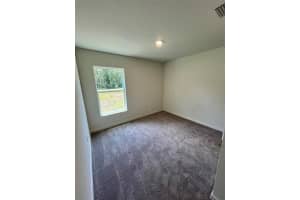 10340 LIGHT AVENUE, HASTINGS, FL 32145 - MLS#MFRC7513205