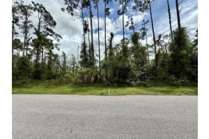 DRAGONFLY AVE, NORTH PORT, FL 34288 - MLS#MFRC7513410