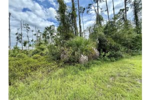 DRAGONFLY AVE, NORTH PORT, FL 34288 - MLS#MFRC7513410