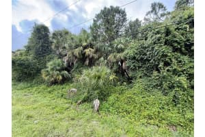 BALMOR TER, NORTH PORT, FL 34288 - MLS#MFRC7513411