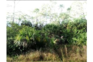 BLUELEAF DR, NORTH PORT, FL 34288 - MLS#MFRC7513432