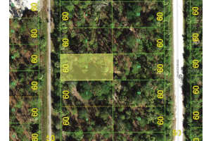 13240 AVALON DRIVE, PUNTA GORDA, FL 33955 Sold 11/06/25