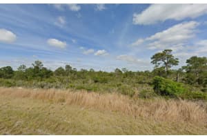 237 SANDPIPER STREET, LAKE PLACID, FL 33852 - MLS#MFRC7513782