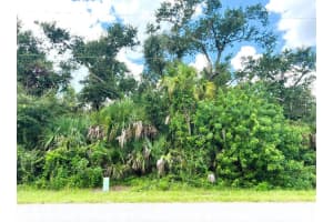 323 CANORA DRIVE, PORT CHARLOTTE, FL 33954 - MLS#MFRC7513802
