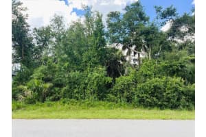 331 CANORA DRIVE, PORT CHARLOTTE, FL 33954 - MLS#MFRC7513804