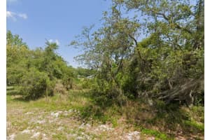 249 GRAPE ROAD, LAKE PLACID, FL 33852 - MLS#MFRC7513980