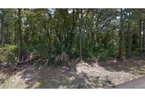 LOT 35 DORIE STREET, NORTH PORT, FL 34291 - MLS#MFRC7514092