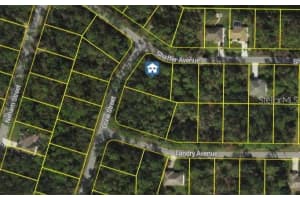LOT 35 DORIE STREET, NORTH PORT, FL 34291 - MLS#MFRC7514092