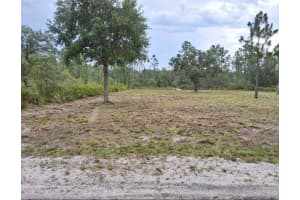 1108 PALM AVENUE, INDIAN LAKE ESTATES, FL 33855 - MLS#MFRC7514094