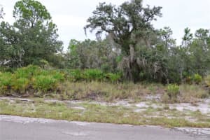 3335 GERBER AVENUE, LAKE PLACID, FL 33852 - MLS#MFRC7514105
