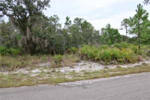3335 GERBER AVENUE, LAKE PLACID, FL 33852 - MLS#MFRC7514105