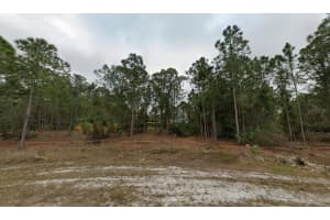 27141 & 27147 DUBONET DRIVE, PUNTA GORDA, FL 33955 - MLS#MFRC7514366