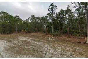 27141 & 27147 DUBONET DRIVE, PUNTA GORDA, FL 33955 - MLS#MFRC7514366