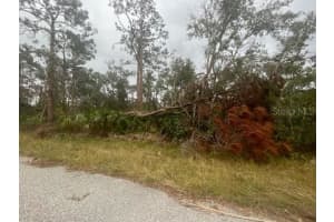 17051 CARSON AVENUE, PORT CHARLOTTE, FL 33948 - MLS#MFRC7514543