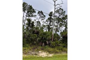 SADNET LN, NORTH PORT, FL 34286 - MLS#MFRC7514621