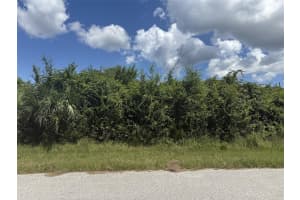 7338 PRINTER STREET, PORT CHARLOTTE, FL 33981 - MLS#MFRC7514854