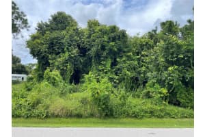 11329 PINETRAIL ROAD, PUNTA GORDA, FL 33955 - MLS#MFRC7514929