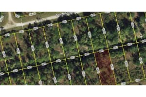 28123 & 21829 MONTE CRISTO DRIVE, PUNTA GORDA, FL 33955 - MLS#MFRC7514994