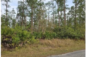 1314 CLEVELAND AVENUE, LEHIGH ACRES, FL 33972 Sold 10/21/25
