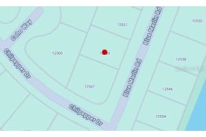 12539 BLUE MARLIN ROAD, PLACIDA, FL 33946 - MLS#MFRC7515141