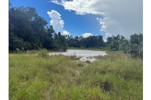 20033 & 20041 BUCHANAN AVENUE, PORT CHARLOTTE, FL 33954 - MLS#MFRC7515292