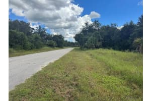 20033 & 20041 BUCHANAN AVENUE, PORT CHARLOTTE, FL 33954 - MLS#MFRC7515292