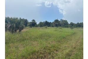 20033 & 20041 BUCHANAN AVENUE, PORT CHARLOTTE, FL 33954 - MLS#MFRC7515292