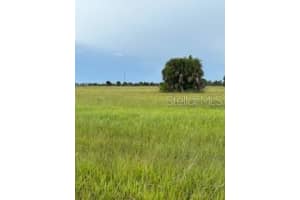 14443 SHEEPSHEAD DRIVE, PLACIDA, FL 33946 - MLS#MFRC7515401