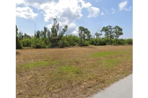 12532 BLUE MARLIN ROAD, PLACIDA, FL 33946 - MLS#MFRC7515563