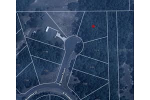 11231 DENICE POINT, DUNNELLON, FL 34434 Sold 02/13/26