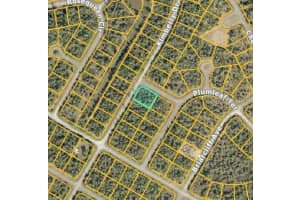 DIELS PL, NORTH PORT, FL 34288 - MLS#MFRC7515573