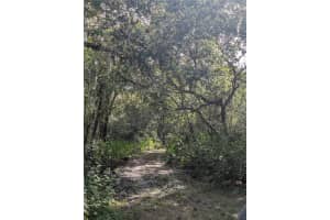 7062 CROOKED CREEK LANE, ZOLFO SPRINGS, FL 33890 - MLS#MFRC7515648