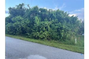 1019 TROPICAL AVENUE, PORT CHARLOTTE, FL 33948 - MLS#MFRC7515938