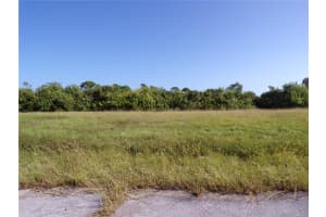 13384 ALEWIFE LANE, PLACIDA, FL 33946 - MLS#MFRC7516032