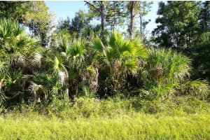 1294 BIRCH TERRACE, PORT CHARLOTTE, FL 33953 - MLS#MFRC7516076