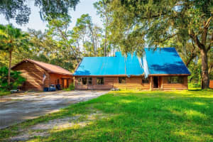 1743 ITCHEPACKESASSA DRIVE, LAKELAND, FL 33810 - MLS#MFRC7516117