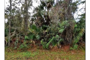 THOMAS LN, NORTH PORT, FL 34286 - MLS#MFRC7516200