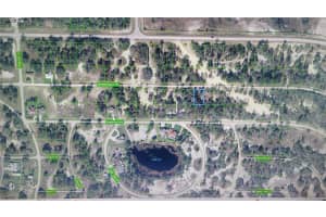 401 MORNINGSIDE DRIVE, LAKE PLACID, FL 33852 - MLS#MFRC7516266