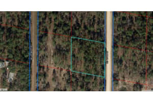 NORTHEAST 134TH CT, WILLISTON, FL 32696 - MLS#MFRC7516307