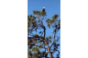 11877 VAN LOON AVENUE, PORT CHARLOTTE, FL 33981 Sold 04/06/26