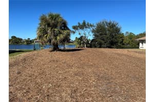 145 ROBINA STREET, PORT CHARLOTTE, FL 33954 - MLS#MFRC7516401