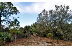 Lot 11 MARSDEN AVENUE, NORTH PORT, FL 34288 - MLS#MFRC7516449