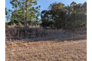 Lots 33 & 34 SAN MATEO DRIVE, NORTH PORT, FL 34288 - MLS#MFRC7516462